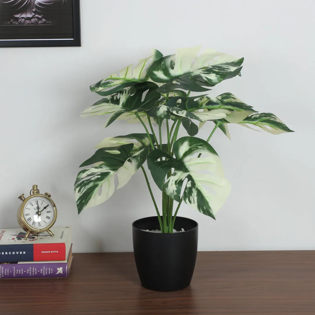 Compact Monstera Leaves Plant - Artificial Plant