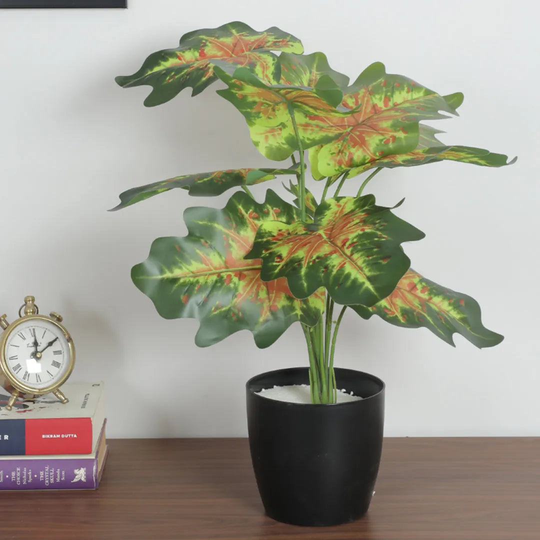 Philodendron Plant for Home and Office Decor - Artificial Plant