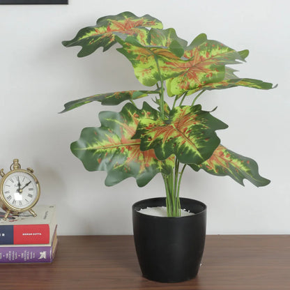 Philodendron Plant for Home and Office Decor - Artificial Plant