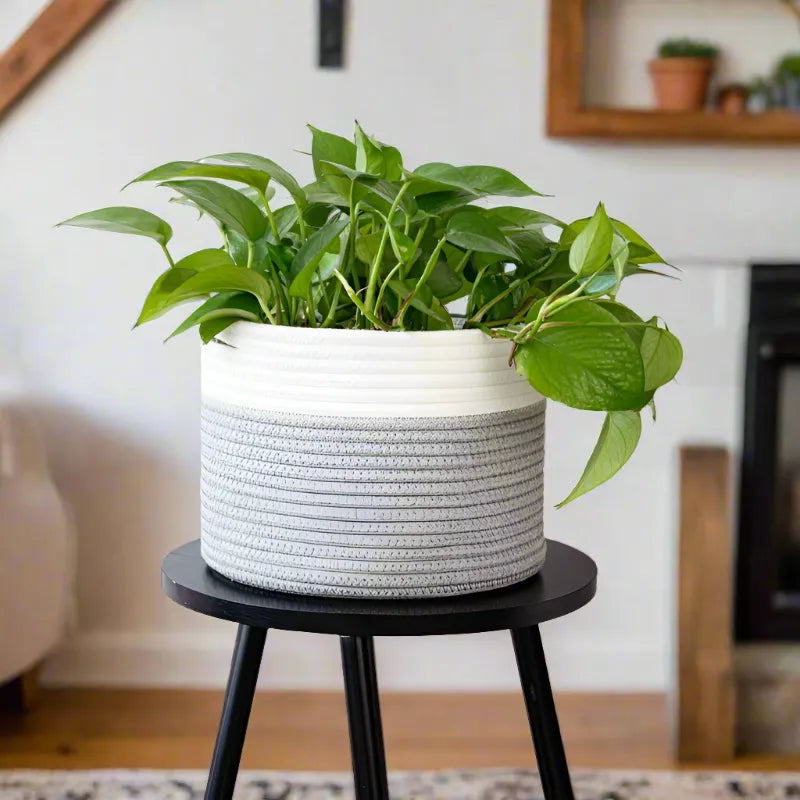 White & Grey Cotton Planter & Storage Basket - Multiple Sizes