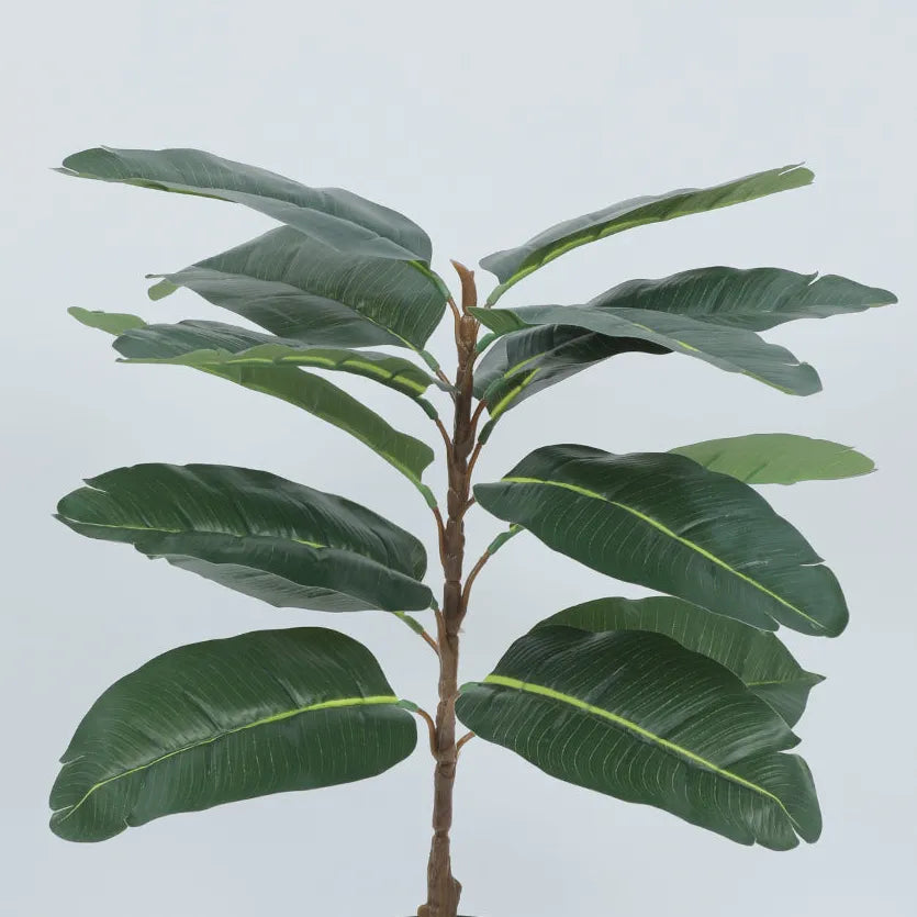 Rubber Leaf Indoor Plant with Pot - Artificial Plant