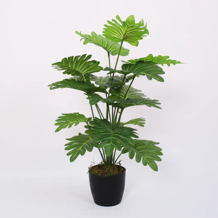 Philodendron Plant with Pot for Decor - Artificial Plant