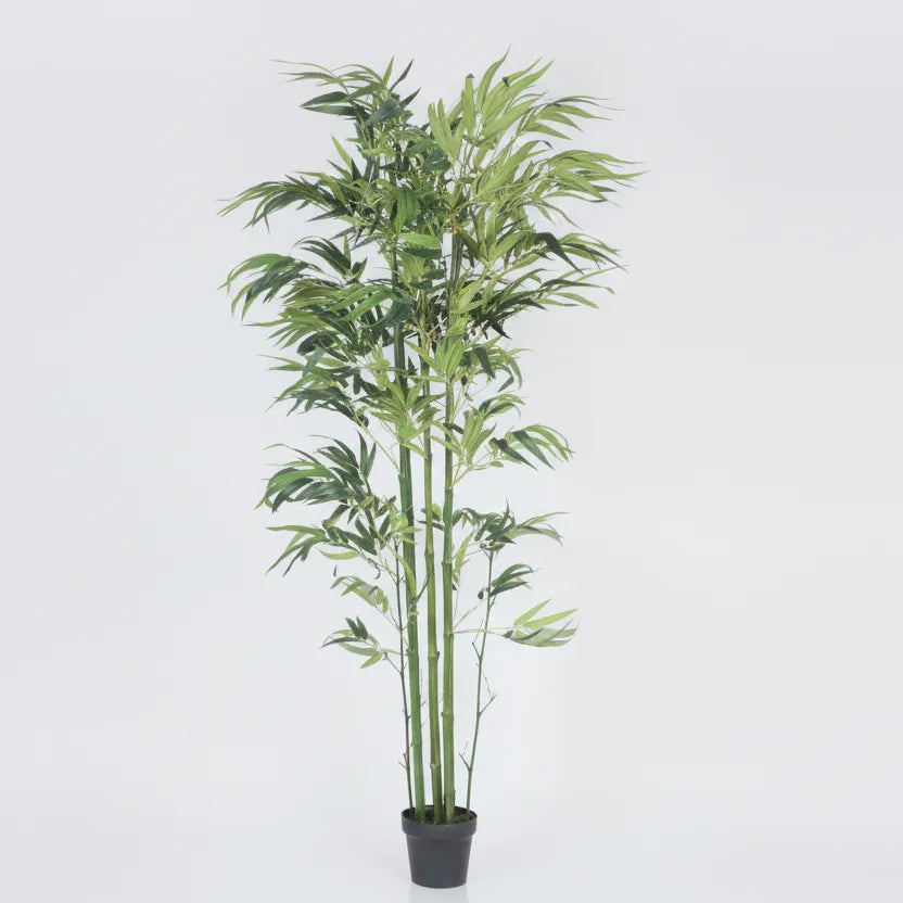 Tall Bamboo Plant with Pot for Floor and Corner Display - Artificial Plant