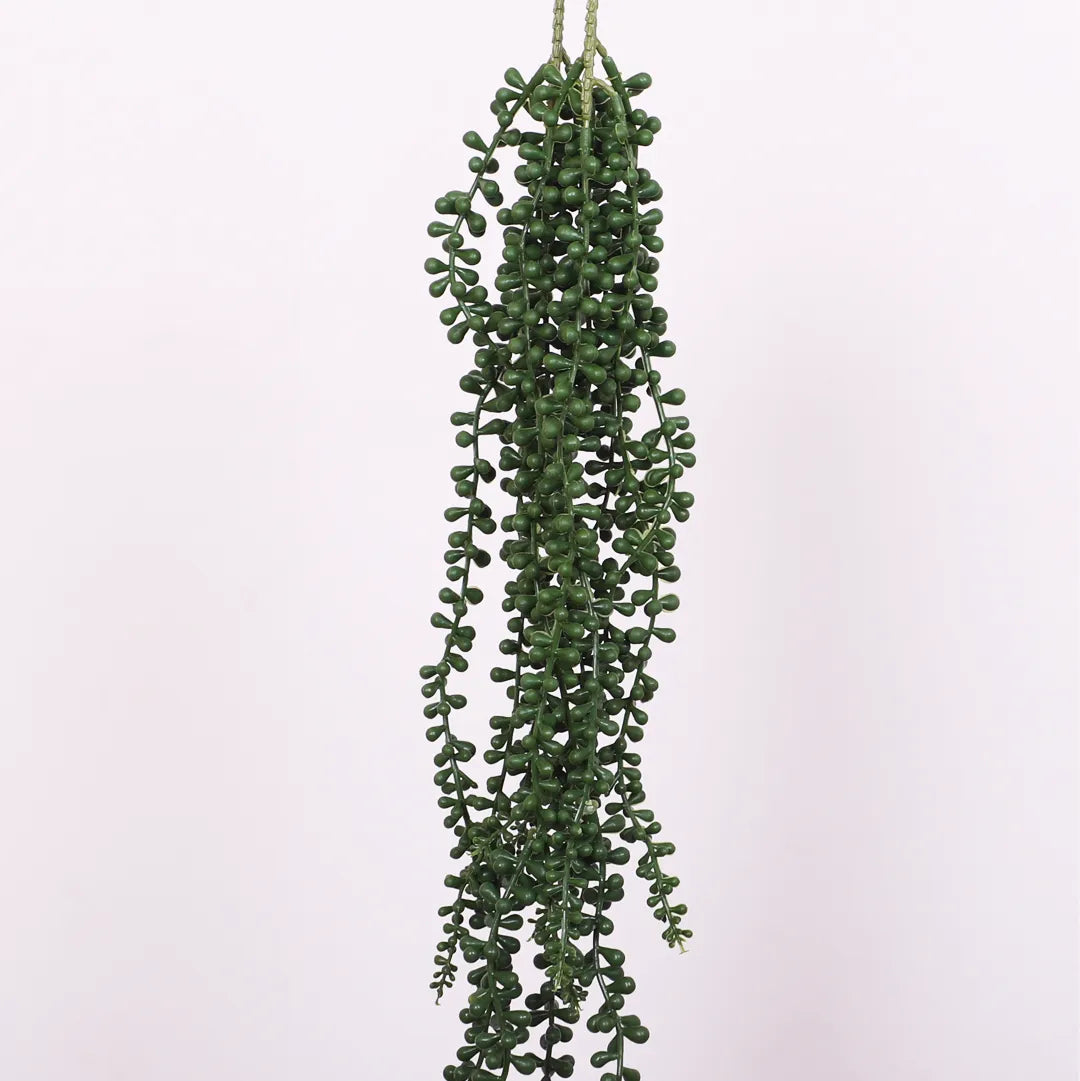 Hanging String of Pearls Creeper - Artificial Plant
