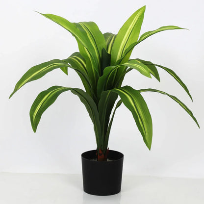 Dracaena Reflexa Decorative Plant with Pot - Artificial Plant