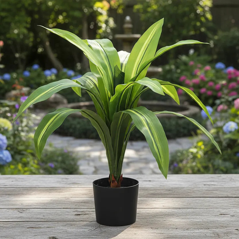 Dracaena Reflexa Decorative Plant with Pot - Artificial Plant