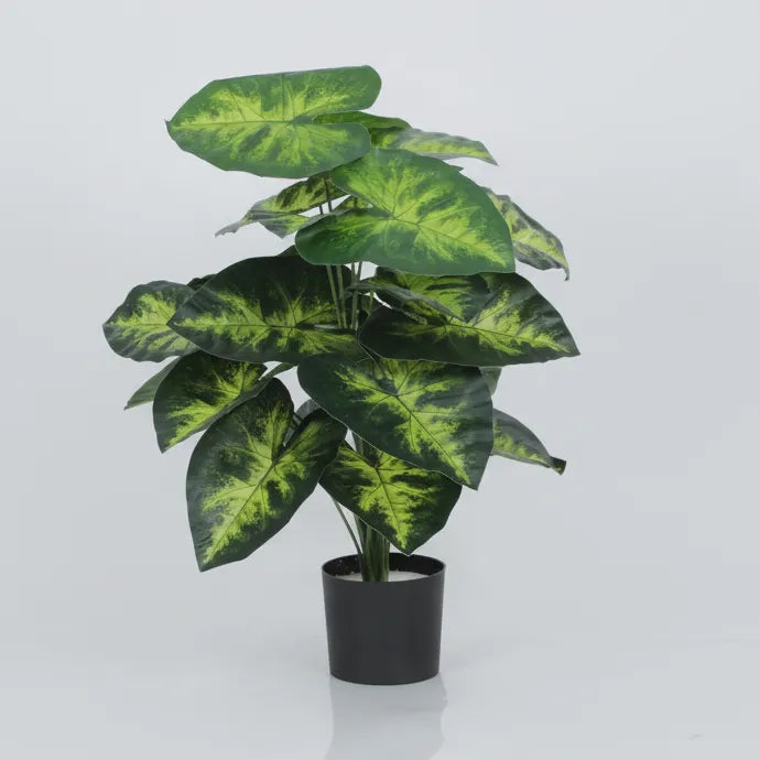 Dieffenbachia Plant with Pot for Interior Styling - Artificial Plant