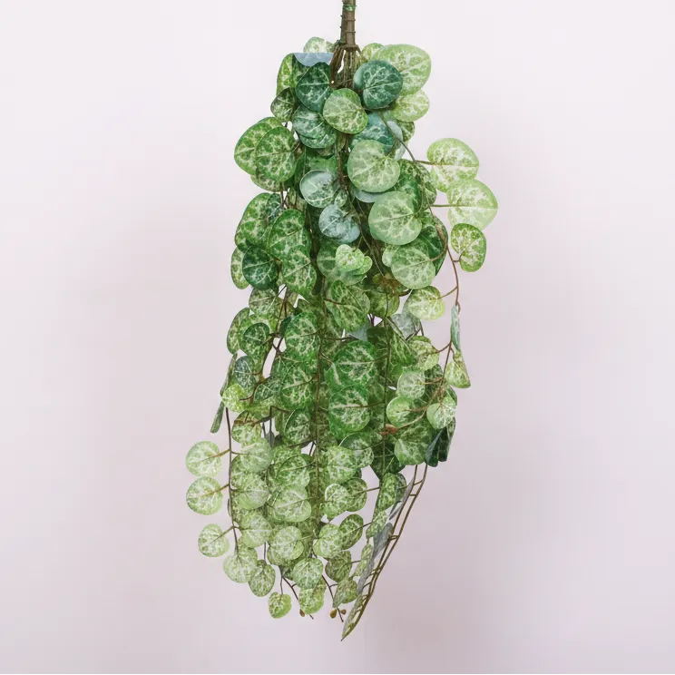 Hanging Creeper for Interior Styling - Artificial Plant