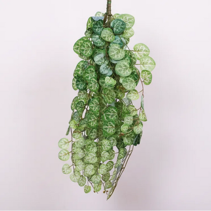 Hanging Creeper for Interior Styling - Artificial Plant