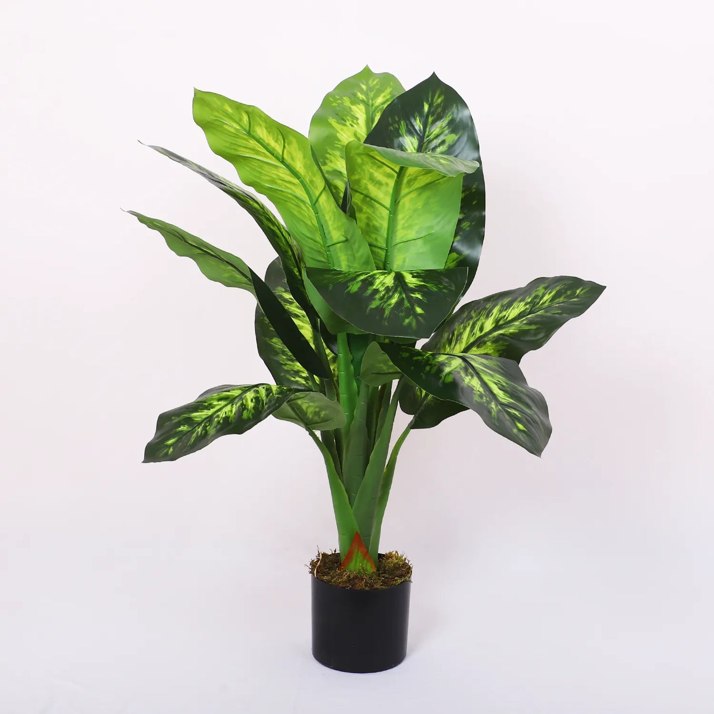 Dieffenbachia Plant Tree with Silk Leaves - Artificial Plant