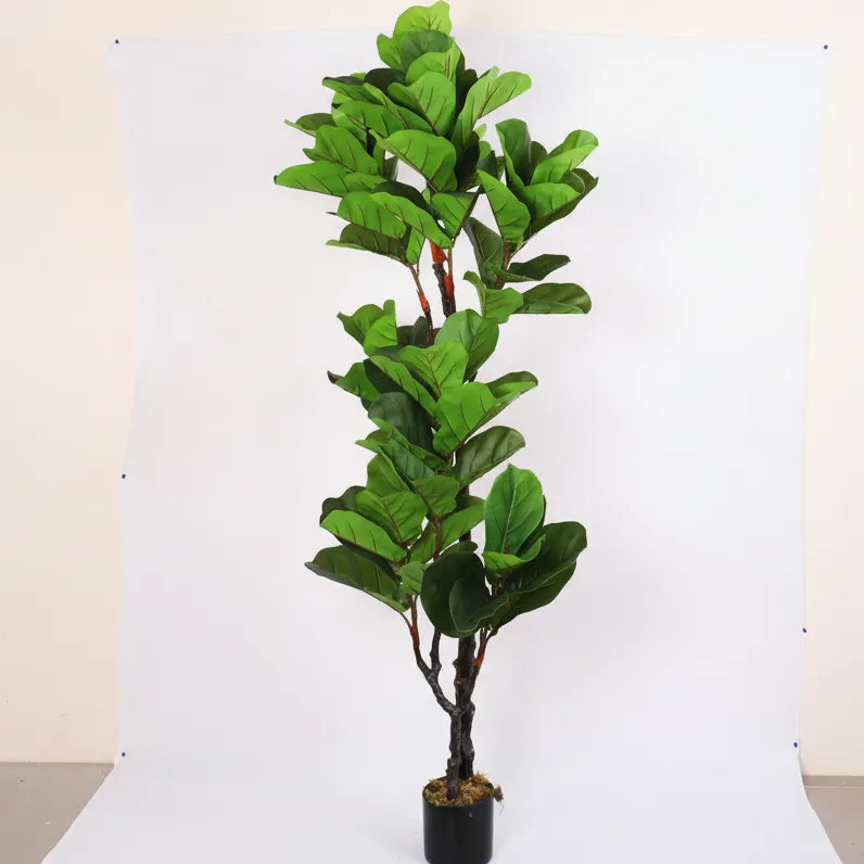 Fiddle Leaf Fig Plant for Styling Spaces - Artificial Plant