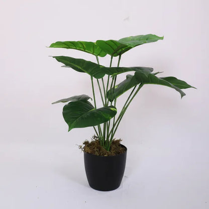 Ornamental Plant with Pot for Home Decor - Artificial Plant