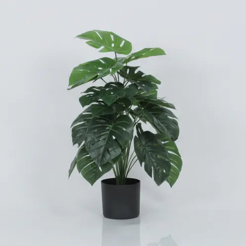 Monstera Plant with Pot for Interior Styling - Artificial Plant