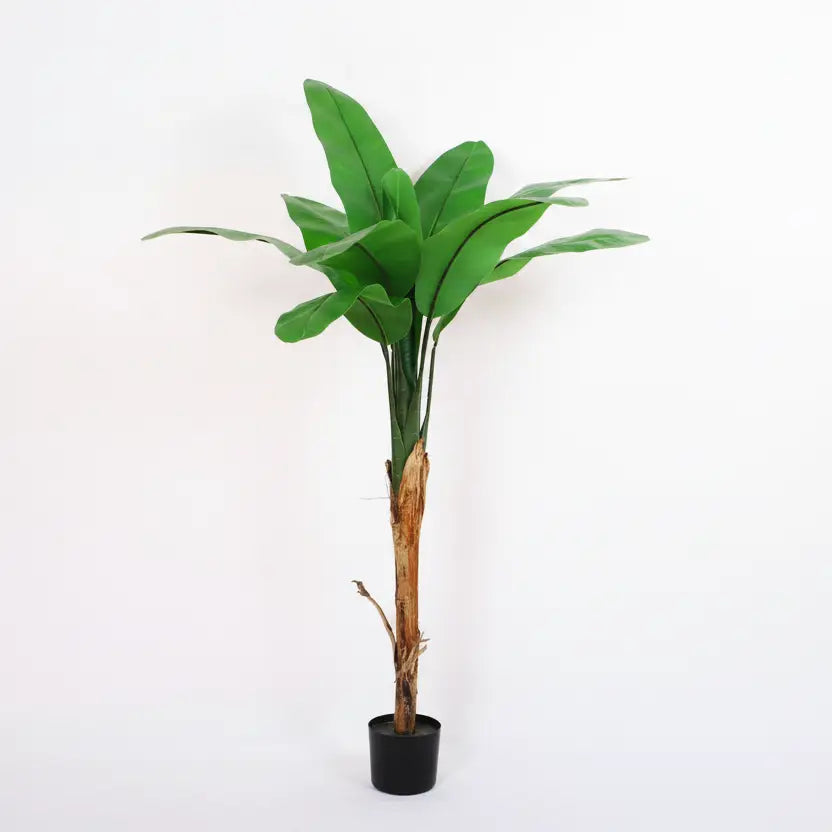 Banana Plant with Big Leaves and Sturdy Nursery Pot - Artificial Plant