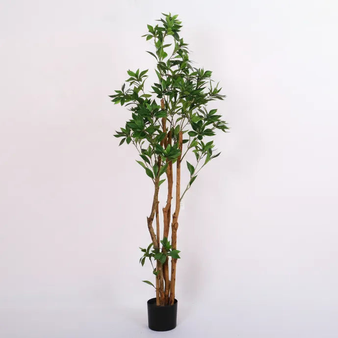 Indoor Accent Ficus Plant with Pot - Artificial Plant