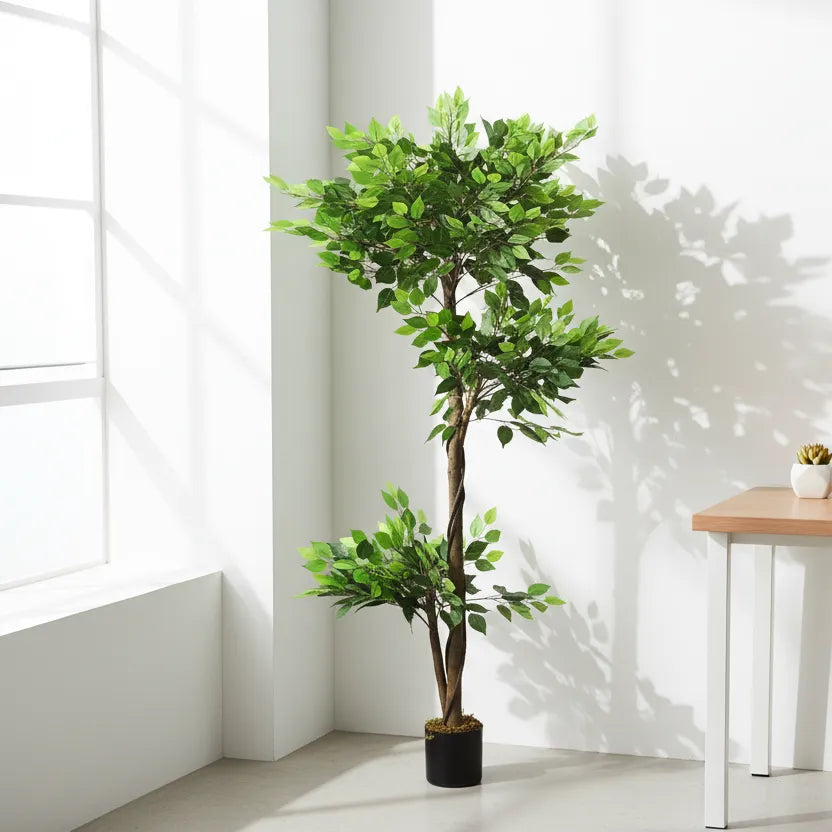 Natural Looking Ficus Plant with Pot - Artificial Plant