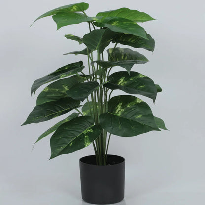 Photos Plant for Home and Office Decor - Artificial Plant