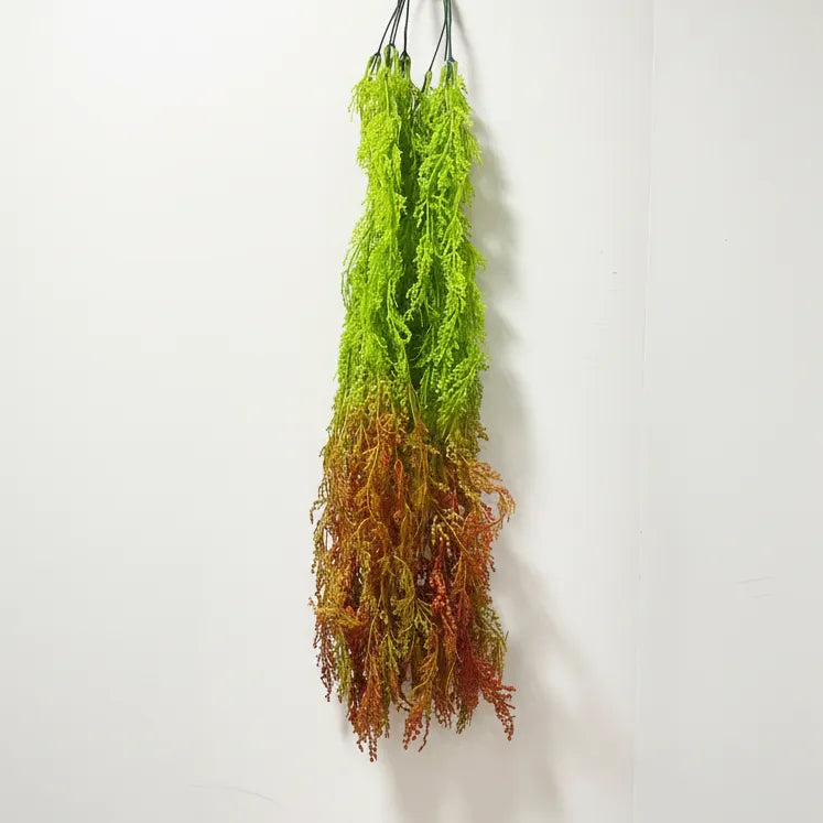 Natural Look Hanging Creeper - Artificial Plant