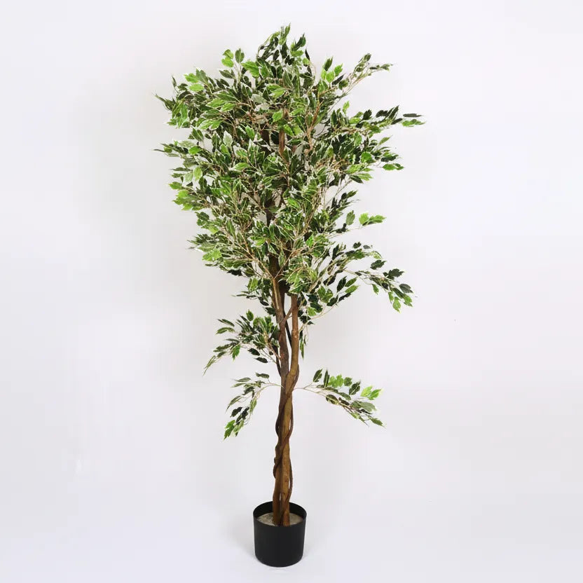 Mini Ficus Plant Trees with Pot for Decor - Artificial Plant