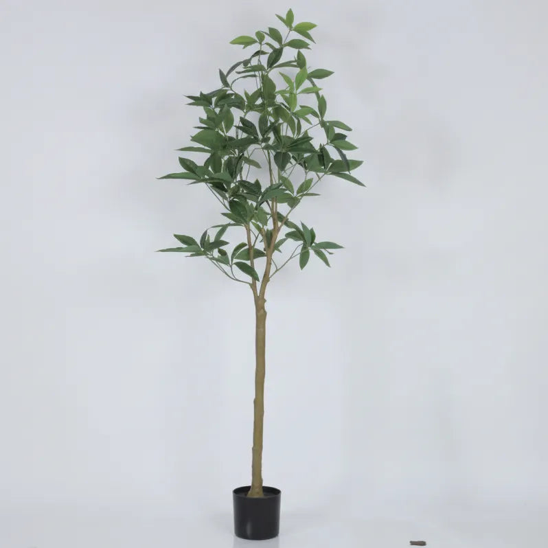 Guiana Chestnut Plant with Pot - Artificial Plant