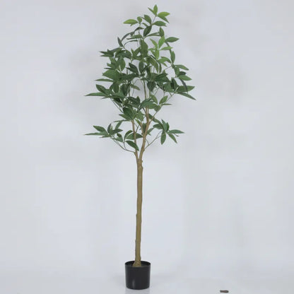 Guiana Chestnut Plant with Pot - Artificial Plant