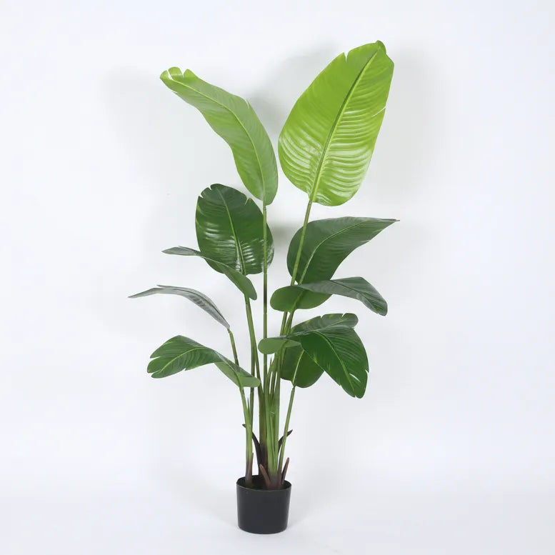 Banana Plant with Pot for Home and Office - Artificial Plant