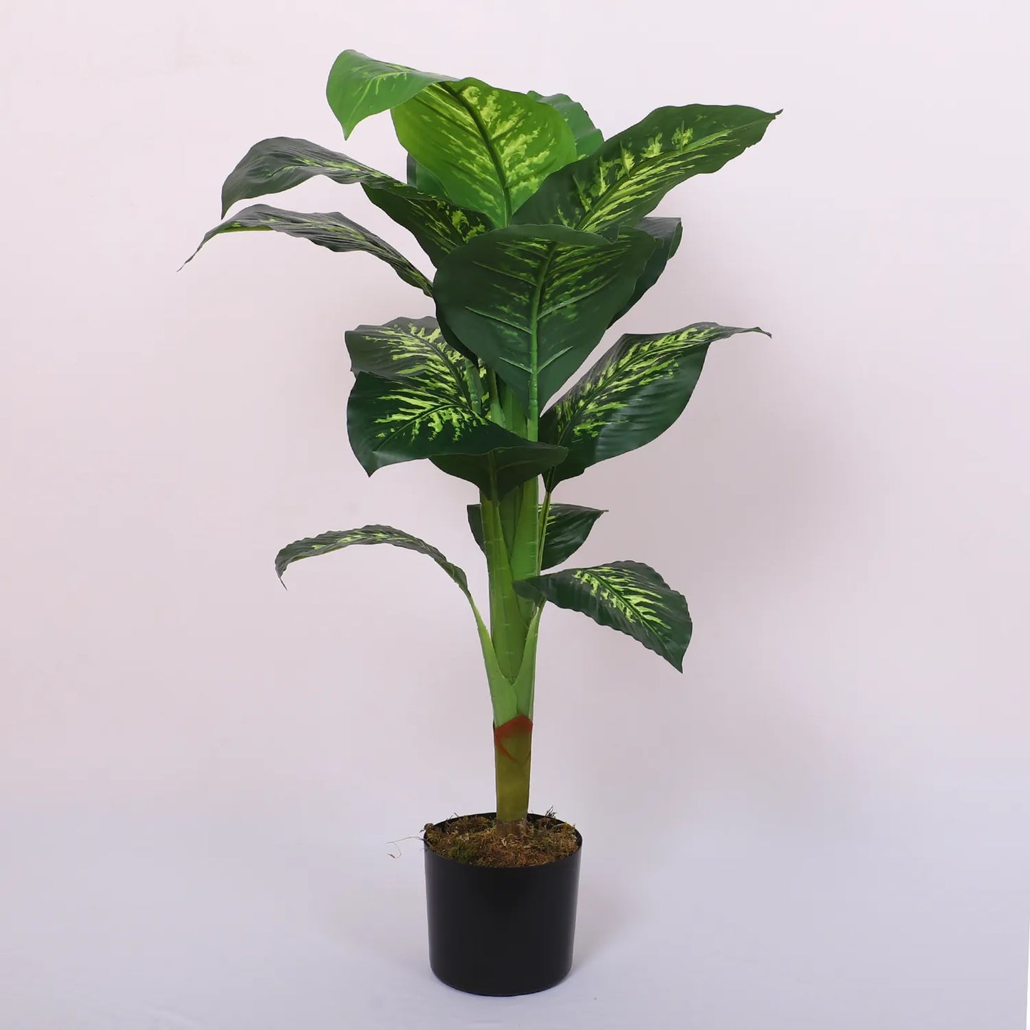 Dieffenbachia Plant Tree with Pot - Artificial Plant