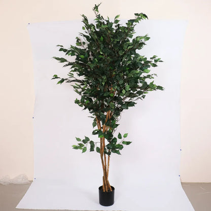 Ficus Plant with Pot for Home and Office Decor - Artificial Plant