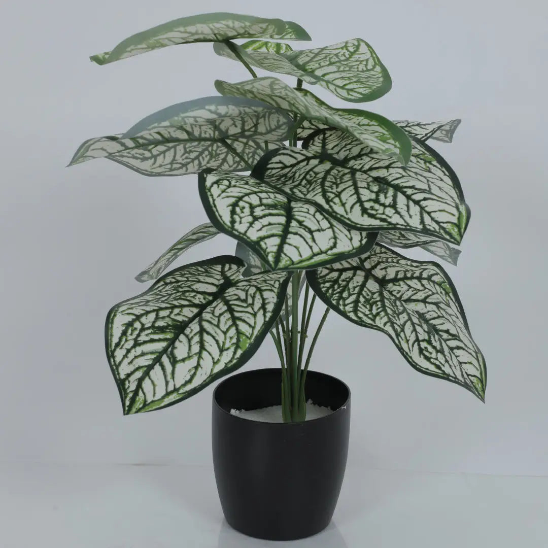 Caladium Leaf Indoor Outdoor Plant with Pot - Artificial Plant