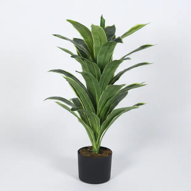Upright Dracaena Plant with Pot for Decor - Artificial Plant