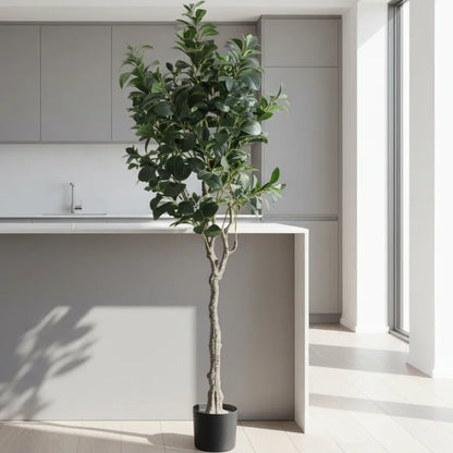 Ficus Benjamina Plant with Pot - Artificial Plant