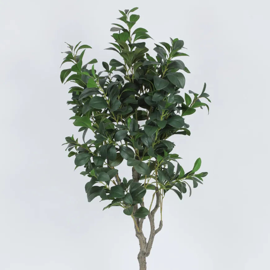 Ficus Benjamina Plant with Pot - Artificial Plant