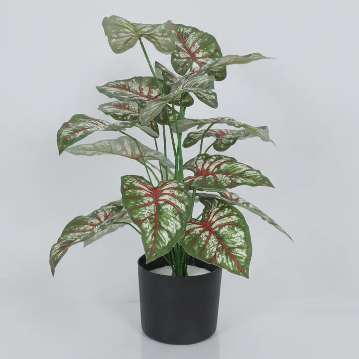 Tropical Caladium Leaf Plant with Pot - Artificial Plant