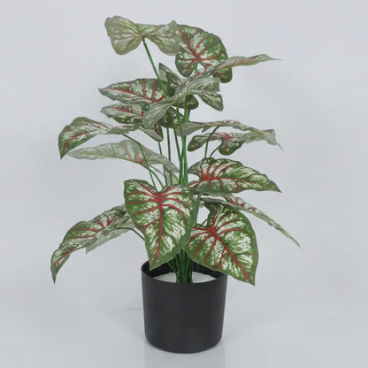 Tropical Caladium Leaf Plant with Pot - Artificial Plant
