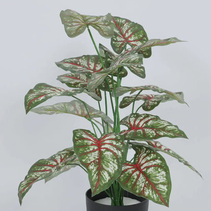 Tropical Caladium Leaf Plant with Pot - Artificial Plant