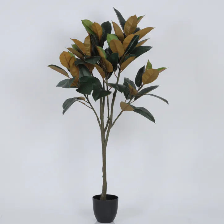 Stylish Rubber Plant with Pot - Artificial Plant