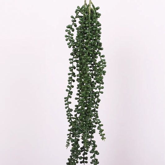 Hanging String of Pearls Creeper - Artificial Plant