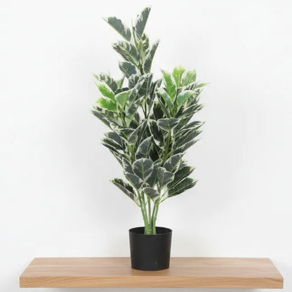 Andrew Croton Plant with Pot - Artificial Plant