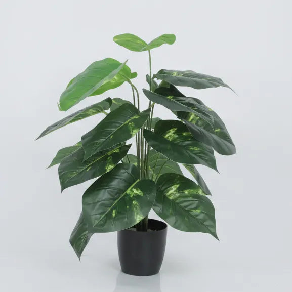 Photos Plant with Pot for Decor - Artificial Plant