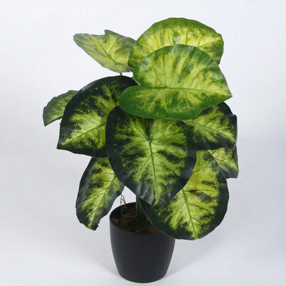 Compact Dieffenbachia Plant with Pot for Decor - Artificial Plant