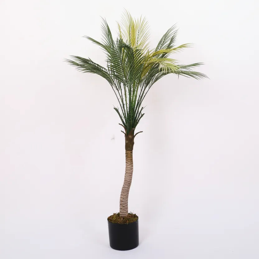 Phoenix Areca Palm Tree for Decor - Artificial Plant
