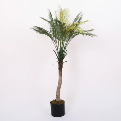 Phoenix Areca Palm Tree for Decor - Artificial Plant