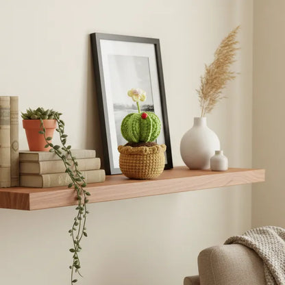 Crochet Potted Plants - Stylish Home Decor - Cactus