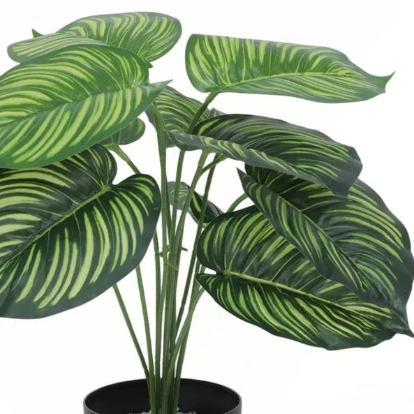 Tarbooj Leaf Plant for Decor - Artificial Plant