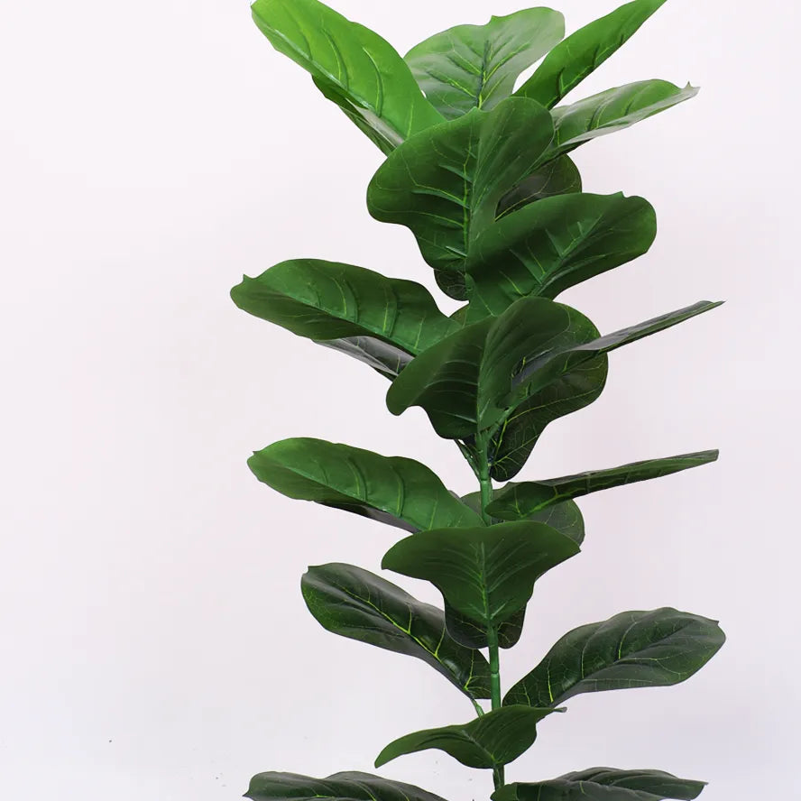 Fiddle Leaf Fig Plant for Interiors - Artificial Plant