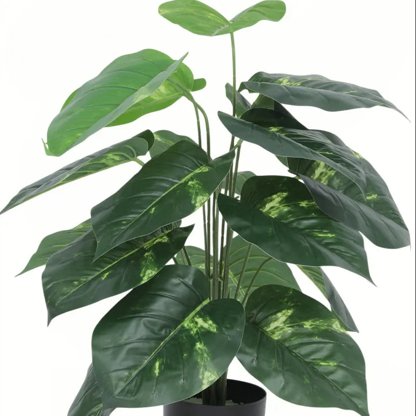 Photos Plant with Pot for Decor - Artificial Plant