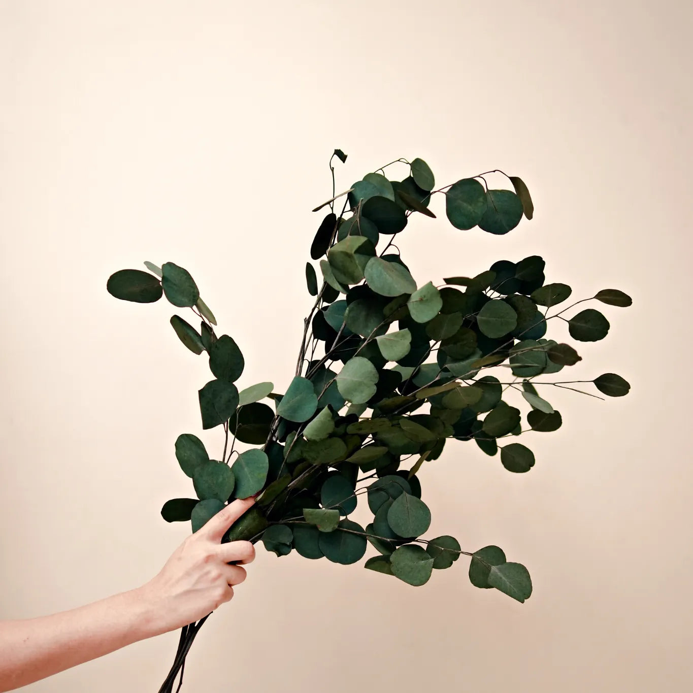 White Minimal Vase with Eucalyptus Plant Decor