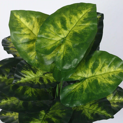 Dieffenbachia Plant with Pot for Interior Styling - Artificial Plant