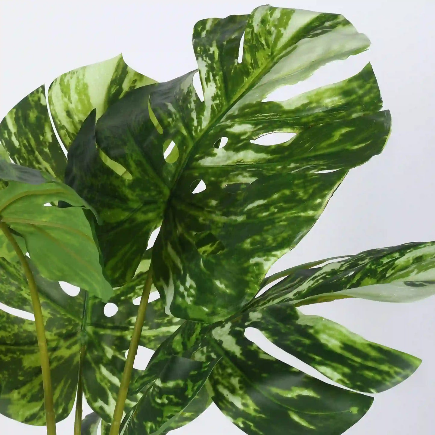 Variegated Monstera Leaf Plant with Pot - Artificial Plant