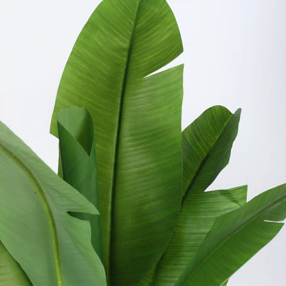 Banana Leaf Plant with Pot - Artificial Plant
